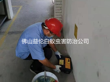 三水时代南湾小区楼道灭鼠