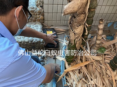 西南镇白蚁危害防治工程