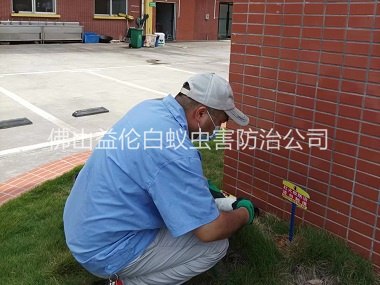 西南杀灭红火蚁工程