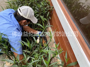 白坭园林绿化灭治白蚁工程