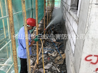 六和建筑白蚁预防工程
