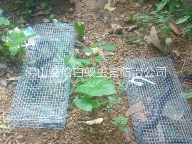 南山驱蛇防蛇工程