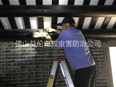 迳口祠堂杀灭白蚁工程